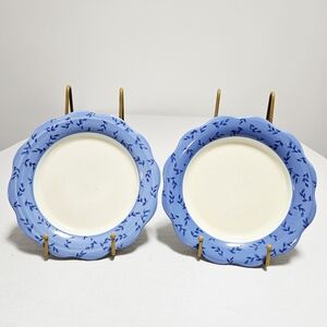 Pfaltzgraff (2) Summer Breeze Scalloped Salad Bread Small Plates Floral Blue 9"